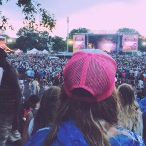 Curso de Manejo de Multitudes en Eventos