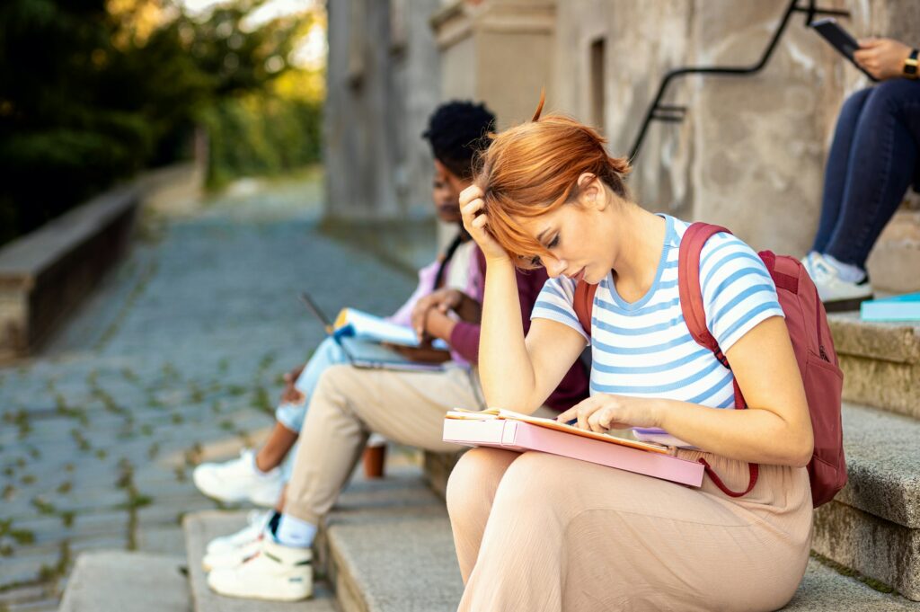 segurança em eventos ESINEV – processos, riscos, planos e KPIs